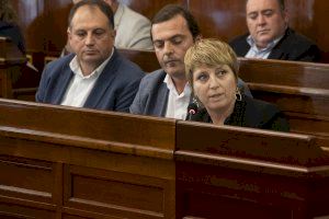 El PP reclama test masivos a la Diputación para los 135 municipios de Castellón