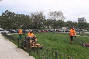 Se reanudan los trabajos en los parques y jardines de Valencia