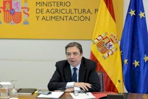 El ministro Planas anima a la distribución alimentaria a apostar por los productos españoles, de temporada y proximidad