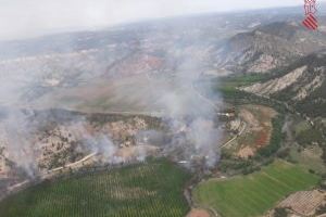 Controlat l'incendi forestal en Casas de Ves que ha afectat a Requena