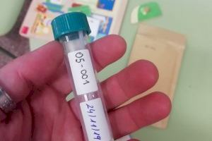 La sanidad valenciana investiga si la vacuna de la gripe influye frente al coronavirus
