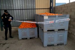 La Policía de la Generalitat participa en los operativos de robos y comercio ilegal hortofrutícolas