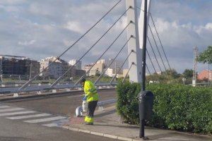 El Ayuntamiento de Vinaròs aplica tratamientos contra los mosquitos