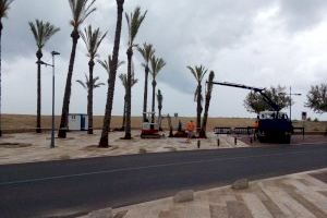 El Ayuntamiento de Peñíscola comienza los trabajos de mejora de la jardinería en el paseo marítimo