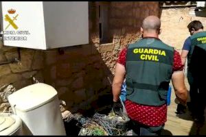 La Guardia Civil desarticula una organización criminal, durante el estado de alarma, dedicada a la comisión de delitos contra el patrimonio
