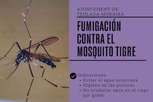 Teulada Moraira inicia la fumigació contra el mosquit tigre