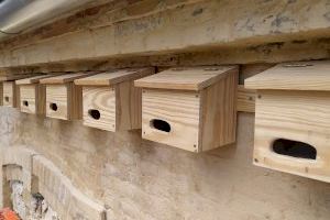El Ayuntamiento colabora con Seo/Birdlife para la instalación de cajas nido en parques y jardines de València
