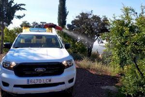 El Ayuntamiento de Almenara fumiga contra la cochinilla de "les paleres"