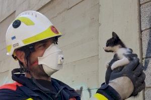 Bomberos de Valencia rescatan a un gatito que había quedado atrapado dentro de una tubería