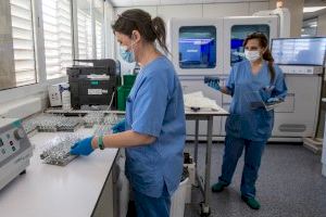 Sanitat demana vigilar aquests nou departaments de salut valencians per a avançar en la desescalada