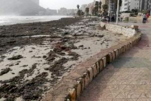 Costas inicia esta semana la reconstrucción de los accesos a la playa de la Fossa