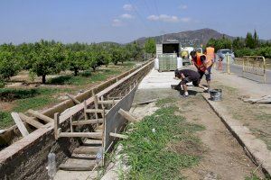 Este verano, 155.00 euros y 48 trabajadores contratados para mejorar el campo en Puçol