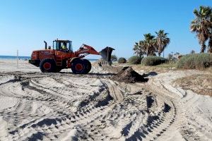 Castelló impulsa la limpieza de playas con una gestión más ecológica reutilizando las algas para regenerar las dunas del Parque Litoral