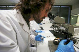 Una start-up de Elche desarrolla un test PCR para detectar el coronavirus en mascotas