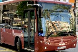 Les tres línies del bus urbà d’Alzira tornen a funcionar des del dilluns 1 de juny