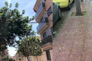 PP San Vicente: "Quejas vecinales por la suciedad de las calles, y la aparición de cucarachas y ratas"