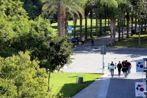 El curso universitario valenciano arrancará el 14 de septiembre de forma semipresencial