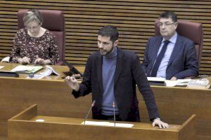 El PSPV-PSOE pide reforzar la presencia del sector citrícola valenciano en Europa y ordenar el mercado de la Comunitat Valenciana