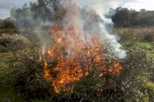 El plan local de quemas de la Vila permite las quemas el primer y tercer miércoles del mes hasta el 15 de octubre