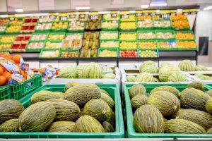 Mercadona prevé comprar 72.000 toneladas de melón de origen nacional para 2020