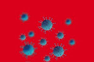 RUVID elabora un dossier especial amb les aportacions de les universitats valencianes contra la pandèmia provocada pel SARS-CoV-2