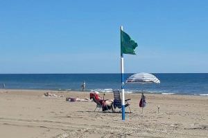 Vicent Mascarell: “A la platja de Gandia s'aprecia un autocontrol ciutadà que respecta les normes”