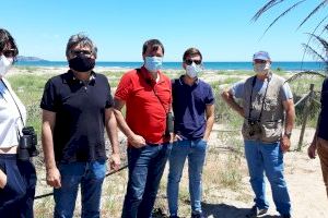 Transició Ecològica treballa amb Gecen i el Grup Au d’Ornitologia per millorar l’hàbitat del corriol camanegre