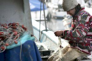La Conselleria d'Agricultura destina un milió d'euros al sector pesquer afectat per la paralització temporal de l'activitat