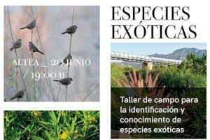Medio Ambiente y Turismo organizan un taller para el conocimiento de las especies exóticas