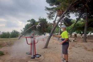 L’Ajuntament de Vinaròs prepara la reobertura dels parcs
