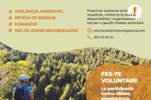 Alzira posa en marxa el voluntariat ambiental en prevenció d’incendis forestals