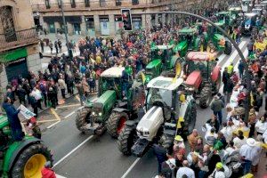 Els agricultors tornen a eixir al carrer: "Les administracions ens tenen desemparats"