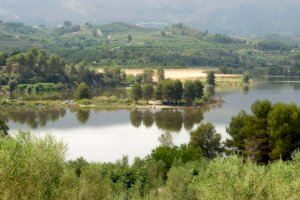La Diputación ayuda a los ayuntamientos de la provincia a mejorar y proteger sus terrenos y masas forestales