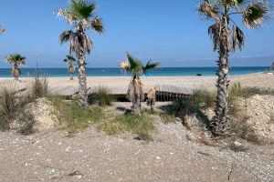El PP de Almassora exige reparar las pasarelas para evitar accidentes en una playa que “urge inversión”