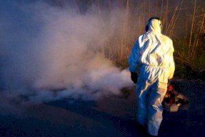 Planes de choque para controlar la plaga del mosquito tigre en la Comunitat Valenciana