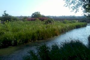 Riba-roja desaconseja el baño en el río Túria para evitar el posible contagio del Covid-19 por recomendación del Centro Superior de Investigaciones Científicas