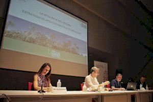 Arcadi España analiza el futuro de las infraestructuras de la Vega Baja con los alcaldes de la comarca