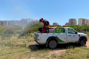 Benicàssim incrementa los trabajos contra mosquitos y otras plagas