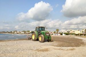 Xilxes trabaja en la adecuación de la playa de Les Cases