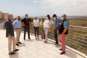 El PPCS urgeix un pla efectiu davant la plaga de mosquits en el litoral de Castelló