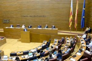 Los diputados del PSPV-PSOE donan 25.000 euros de su nómina para luchar contra los efectos del Covid-19