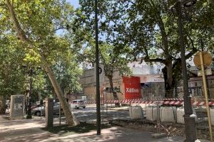 L’Ajuntament de Xàtiva canvia la infraestructura elèctrica en l’Albereda i Avinguda Selgas per protegir l’arbrat