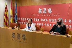 VOX defiende que las competencias en materia lingüística vuelvan a la Real Academia Valenciana de la Lengua