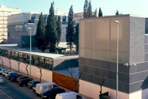 El Museu de Belles Arts de Castelló inaugura l’exposició ‘Ramon Llull i l’encontre entre cultures’