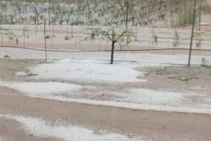 Pérdidas millonarias en los campos de Utiel-Requena por la peor tormenta de pedrisco en 30 años