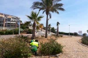 Oropesa del Mar retoma los trabajos de jardinería en la zona sur del municipio