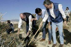 El Ayuntamiento adjudica por vez primera la conservación de los bosques de Alicante
