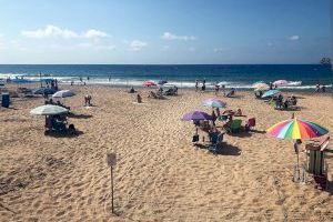 Cs propone descuentos en el alquiler de hamacas para empadronados y fraccionar mejor la reserva de parcelas en las playas de Benidorm