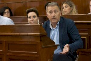 Sales: “La plaga de mosquitos castiga Castellón mientras Puig recorta 100.000 euros las ayudas”