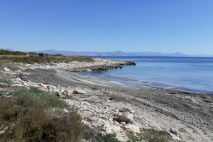 Santa Pola llança una web per a consultar l’aforament a les platges urbanes
